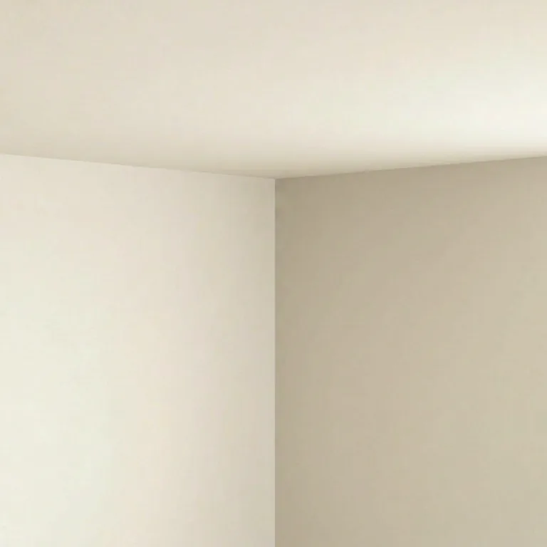 Wise whites paint colours on a wall and ceiling